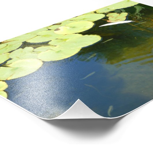 Kikkervisjes Foto Afdruk (Hoek)