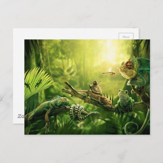 Kikkervisjes Oerwoud reptielen landschap Briefkaart (Voorkant / Achterkant)