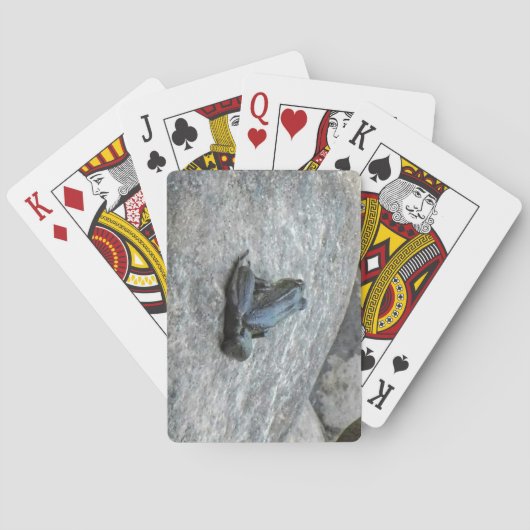 Kikkervisjes Pokerkaarten (Achterkant)