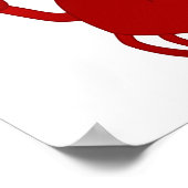 Kikkervisjes Poster (Hoek)