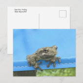 Kikkerviskkikker die Briefkaart uitsteekt (Voorkant / Achterkant)