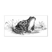 Kikkerviskkikker van Vintage Kikkerkrubber Stamp Rubberstempel (Afrduk)