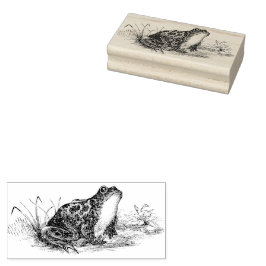 Kikkerviskkikker van Vintage Kikkerkrubber Stamp Rubberstempel