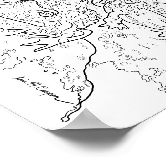  Kikkerviskleurig Poster (Hoek)