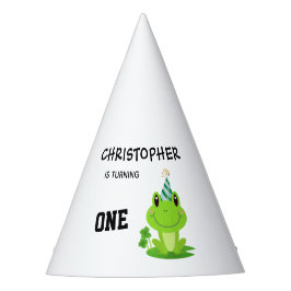 Kikkervispartij Eerste verjaardag Zwemzeekikker Feesthoedjes