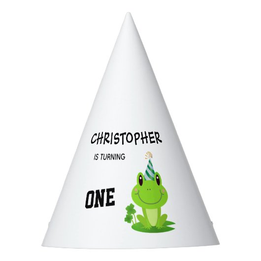 Kikkervispartij Eerste verjaardag Zwemzeekikker Feesthoedjes (Voorkant)