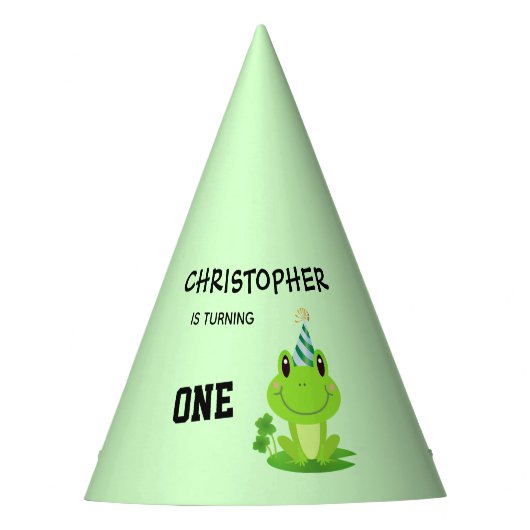 Kikkervispartij Eerste verjaardag Zwemzeekikker Feesthoedjes (Voorkant)