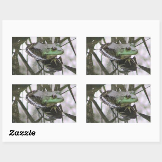 Kikkervissenticker Rechthoekige Sticker (Vel)