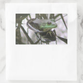 Kikkervissenticker Rechthoekige Sticker (Tas)