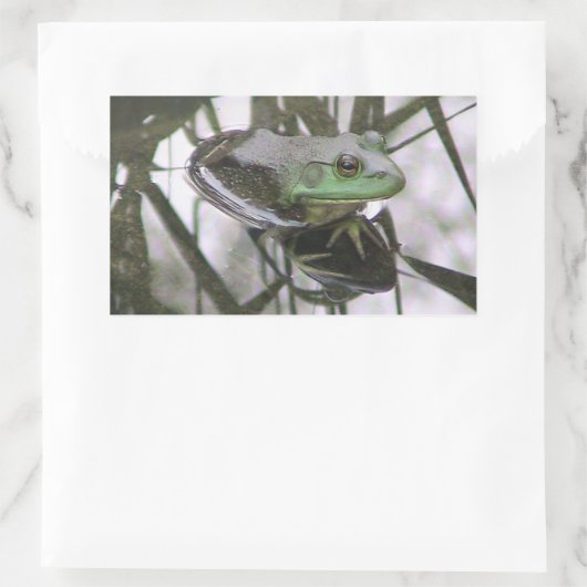 Kikkervissenticker Rechthoekige Sticker (Tas)