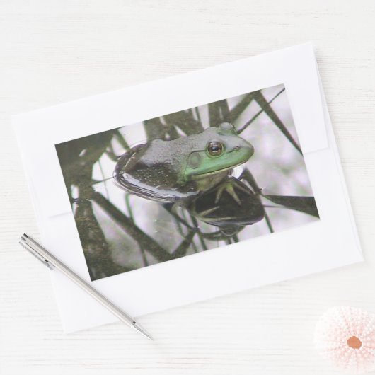 Kikkervissenticker Rechthoekige Sticker (Envelop)