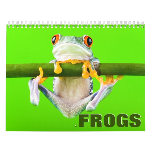 Kikkerwankalender Kalender (Hoes)