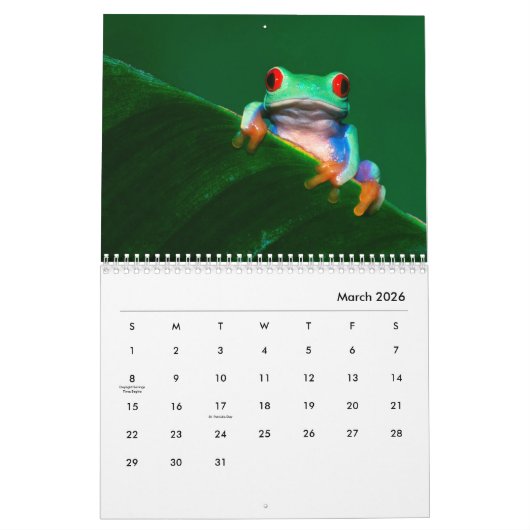 Kikkerwankalender Kalender (Mar 2026)