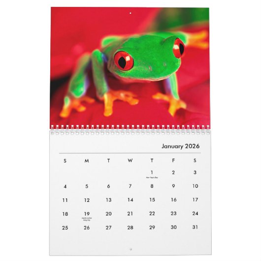 Kikkerwankalender Kalender (Jan 2026)