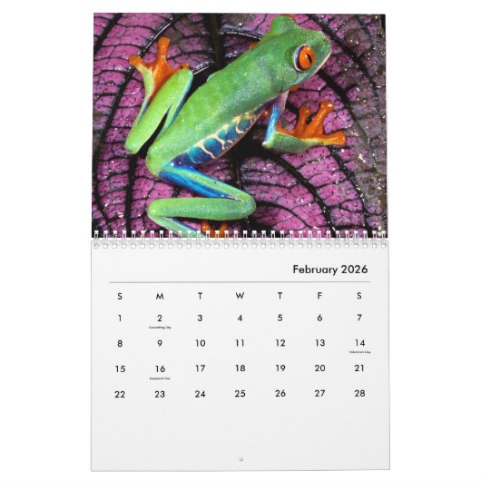 Kikkerwankalender Kalender (Feb 2026)