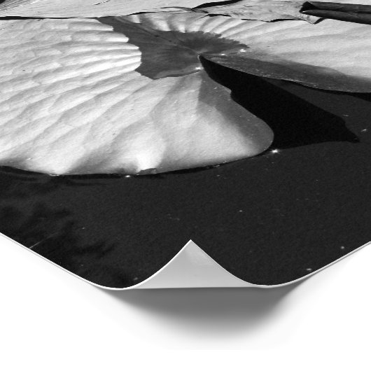 Kikkerwereld Poster (Hoek)