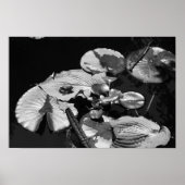 Kikkerwereld Poster (Voorkant)