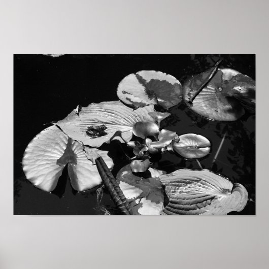 Kikkerwereld Poster (Voorkant)