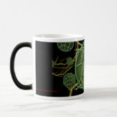 Kikkikker Magische Mok (Links)