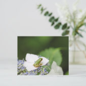 Kikkikker op een hydrangea, Hyogo Briefkaart (Staand voorkant)