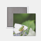 Kikkikker op een hydrangea, Hyogo Magneet (Voorkant / Achterkant)