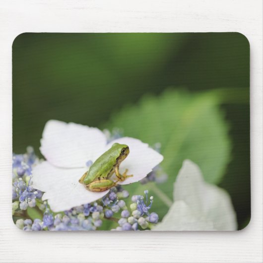 Kikkikker op een hydrangea, Hyogo Muismat (Voorkant)