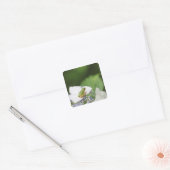 Kikkikker op een hydrangea, Hyogo Vierkante Sticker (Envelop)