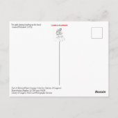 Kikkikker op het strand briefkaart (Achterkant)