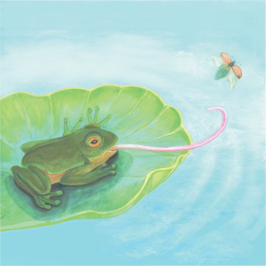 Kikkikker Sticker (Voorkant)