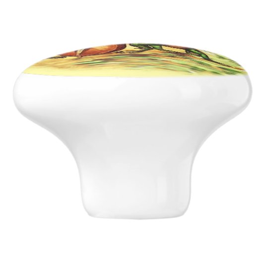 Kikkikkerband Keramische Knop (Zijkant)