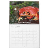 Kikkikkerkalender Kalender (Feb 2026)