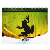Kikkikkerkalender Kalender (Hoes)