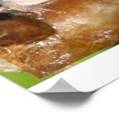 Kikkikkerkuil, kikker en andere poten poster (Hoek)
