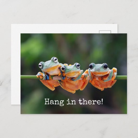 Kikkikkervis - Ophangen in Briefkaart (Voorkant / Achterkant)