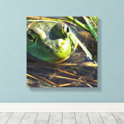 Kikkikkervisdoek Canvas Afdruk (Insitu (Houten vloer))