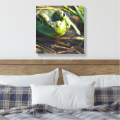 Kikkikkervisdoek Canvas Afdruk (Insitu (Slaapkamer))