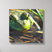 Kikkikkervisdoek Canvas Afdruk (Voorkant)