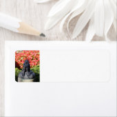 Kikkikkervisetiket Etiket (Insitu)