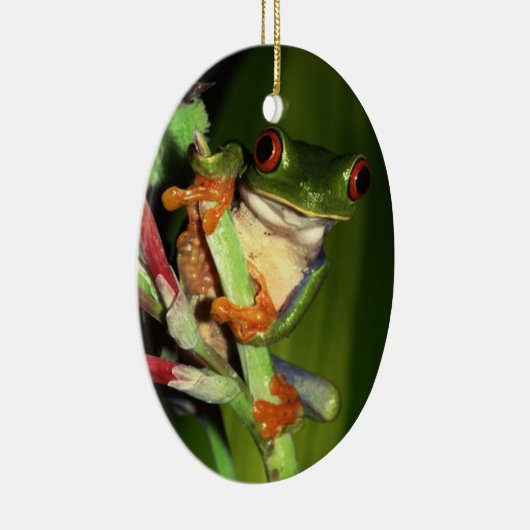 Kikkikkervissiermeel Keramisch Ornament (Rechts)