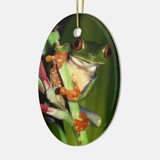 Kikkikkervissiermeel Keramisch Ornament (Links)