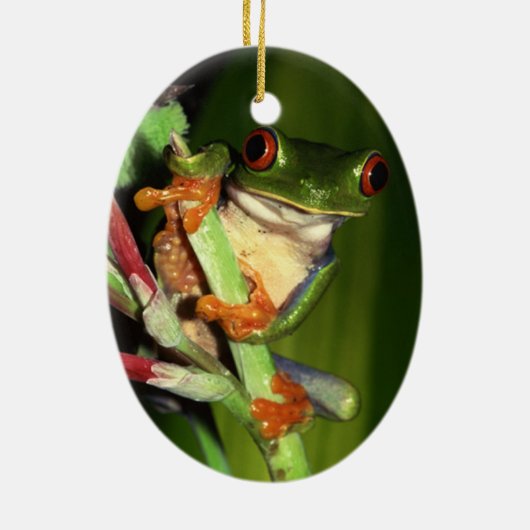 Kikkikkervissiermeel Keramisch Ornament (Achterkant)