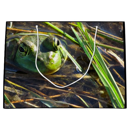 Kikkisttas Groot Cadeauzakje (Voorkant)