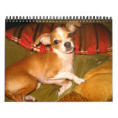 kiko-kalender kalender (Hoes)