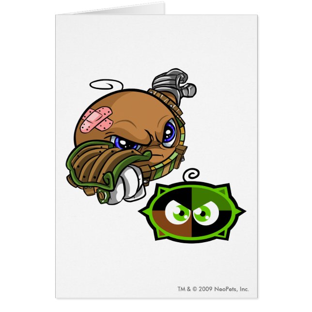 Kiko Lake Team Kapitein 1 (Voorkant)