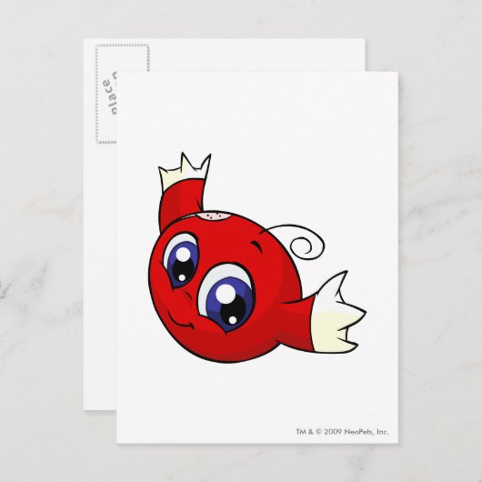 Kiko Red Briefkaart (Voorkant / Achterkant)