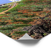 Kilauea Lighthouse op Kauai Poster (Hoek)