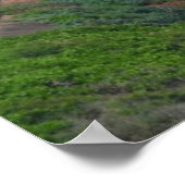 Kilauea Lighthouse Poster (Hoek)