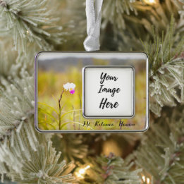 Kilauea Volcanoes Nationaal Park Hawaii Verzilverd Omlijst Ornament