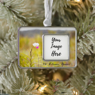 Kilauea Volcanoes Nationaal Park Hawaii Verzilverd Omlijst Ornament