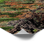 Kilauea-vuurtoren op Kauai Poster (Hoek)